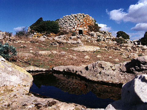 eliche 3