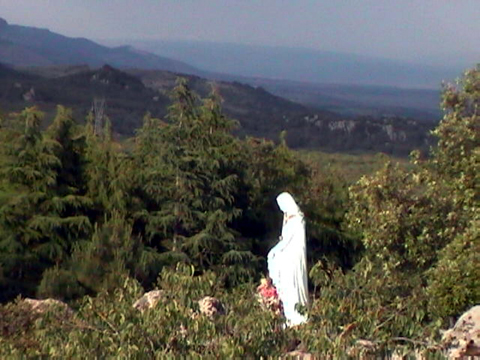 DVC00016