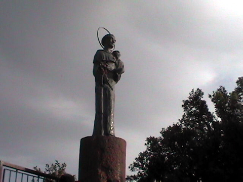 DVC00019