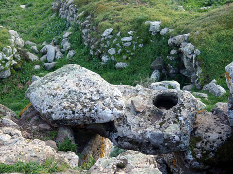 acqua