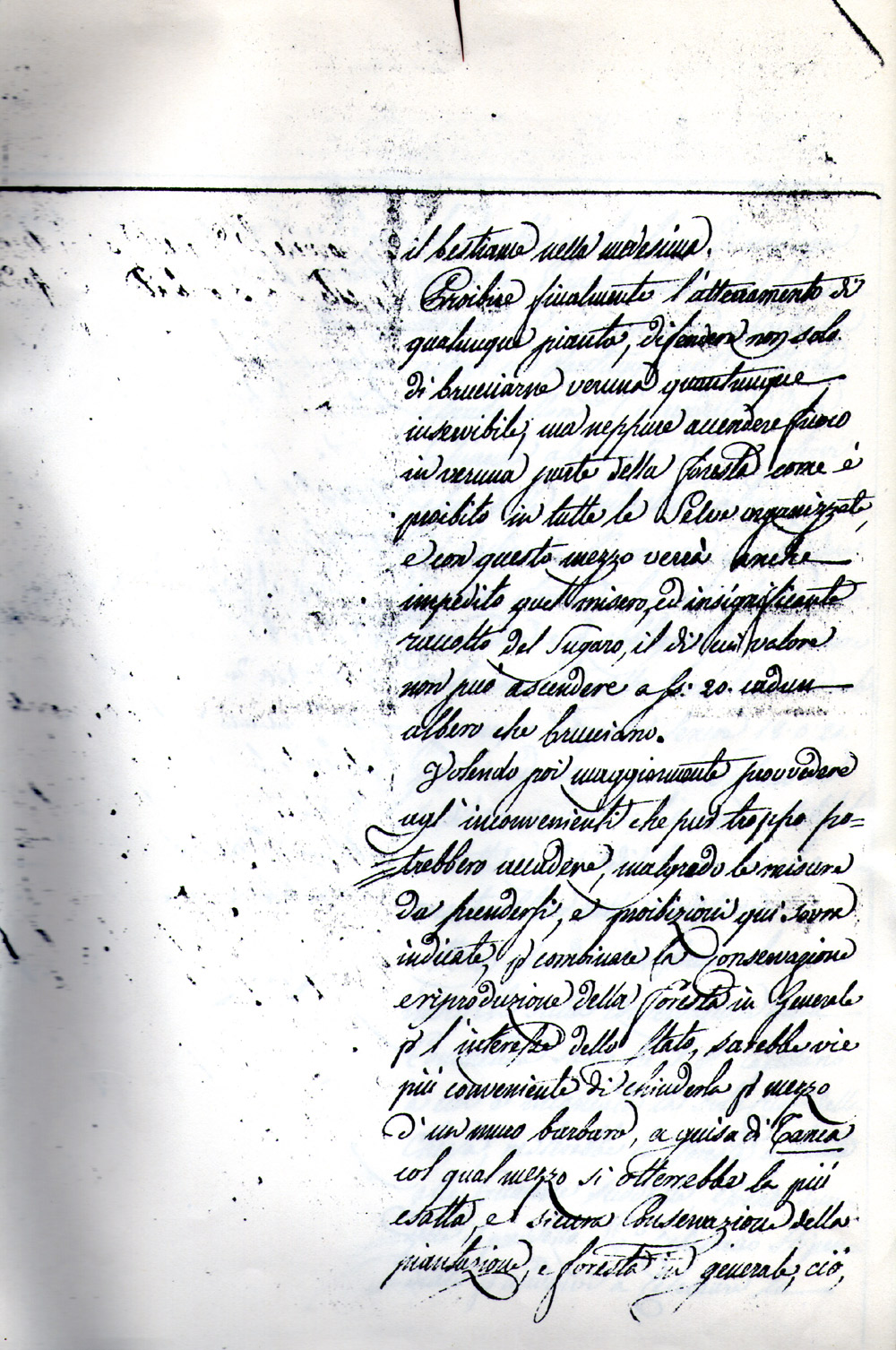 Senza titolo 10