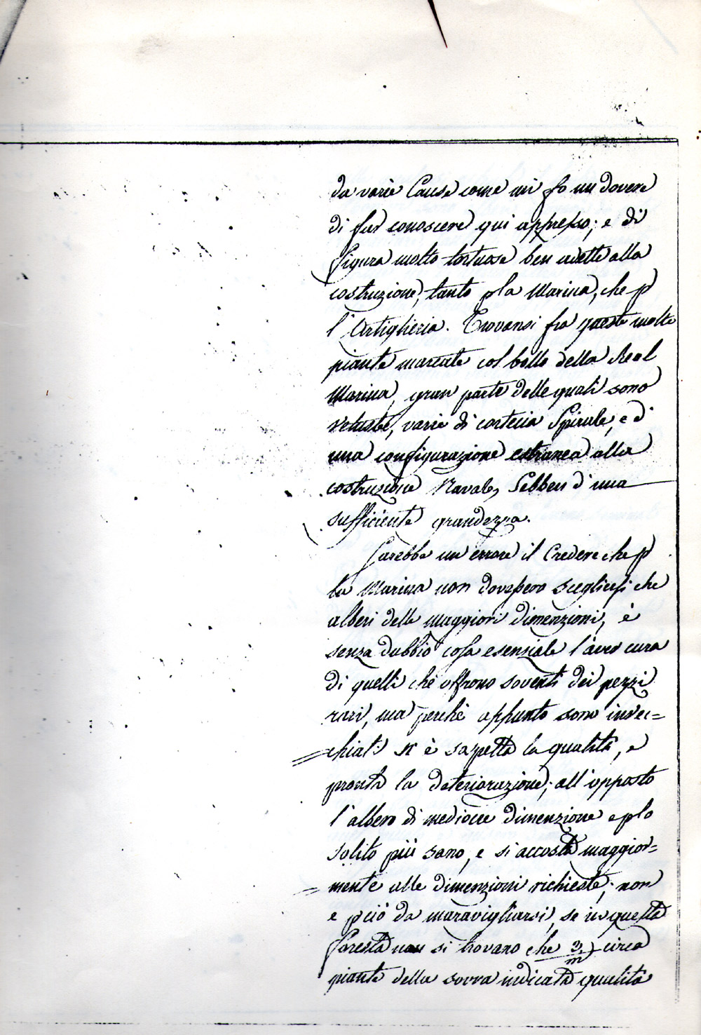Senza titolo 3