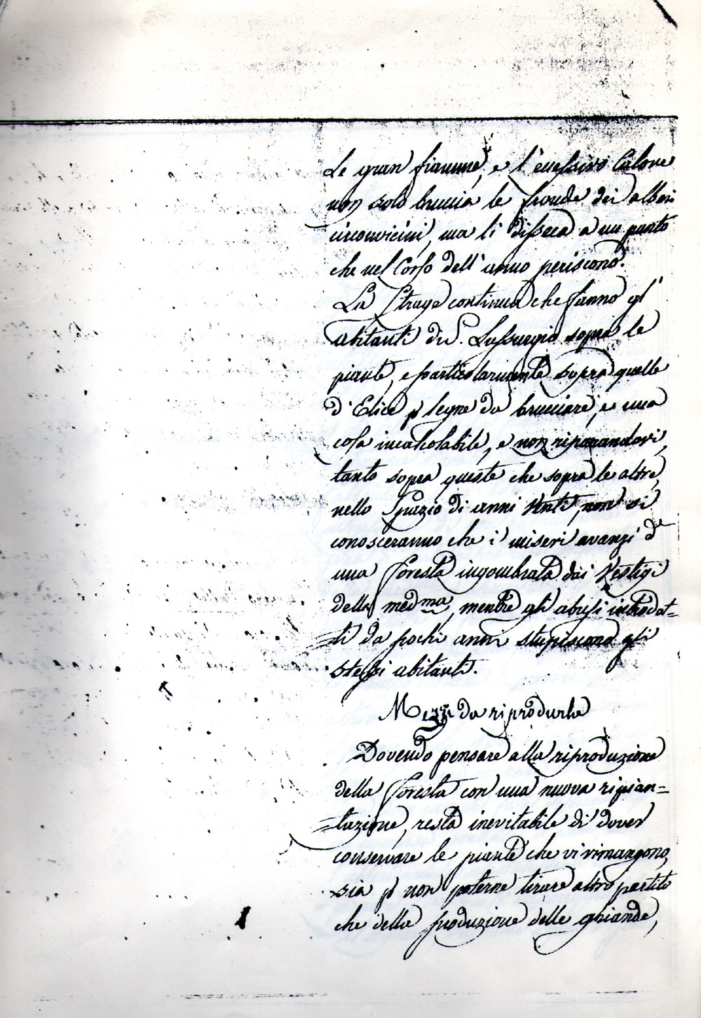 Senza titolo 6