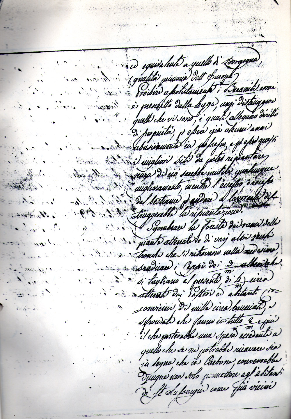 Senza titolo 8