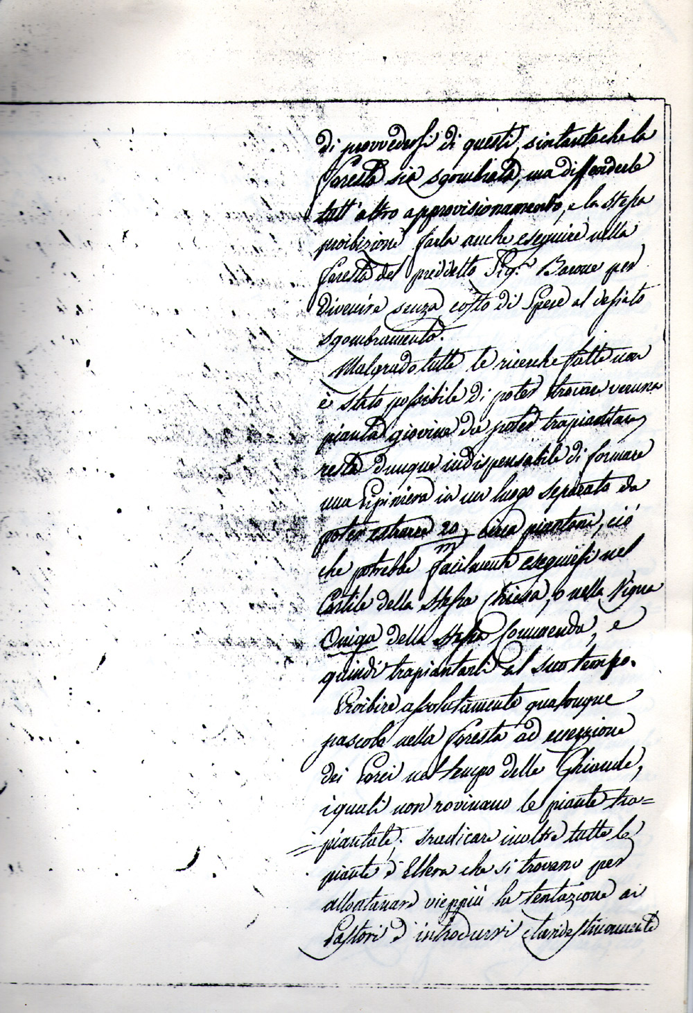 Senza titolo 9