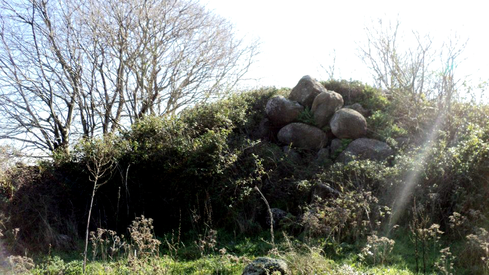 Nuraghe Mura Surzaga a.pilia1