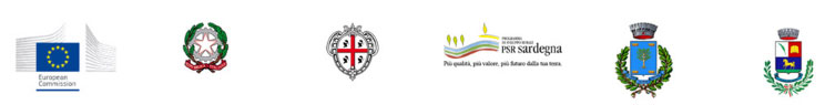 sic partners