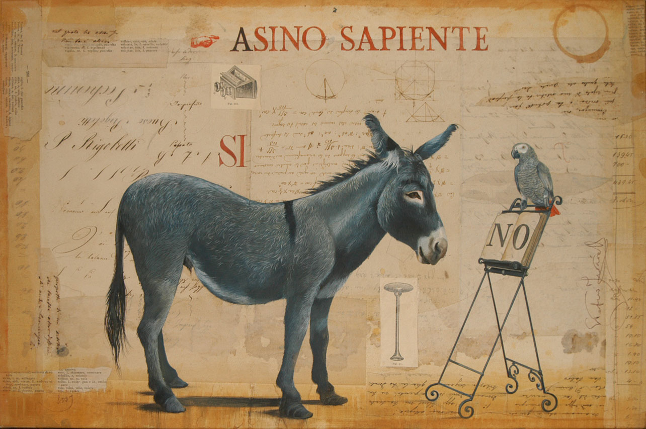 F 05 Lasino sapiente 2009 cm48x685