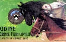 Udine Grande Fiera Cavalli, 1908