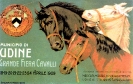 Municipio di Udine Grande Fiera Cavalli, Udine 1909