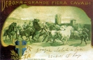 Verona - Grande Fiera Cavalli