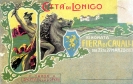 Città di Lonigo, rinomata fiera di Cavalli, 1903