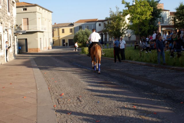 DSC02379