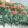 DSC02340