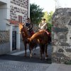 DSC02393