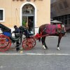 Signori in carrozza