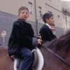 pinna15