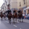 pinna18