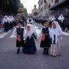 pinna5
