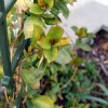 DSC03141