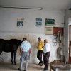 dsc00586