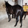 dsc00587