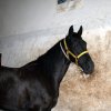 dsc00590