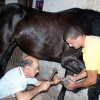 dsc00593