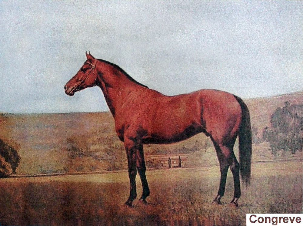congreve