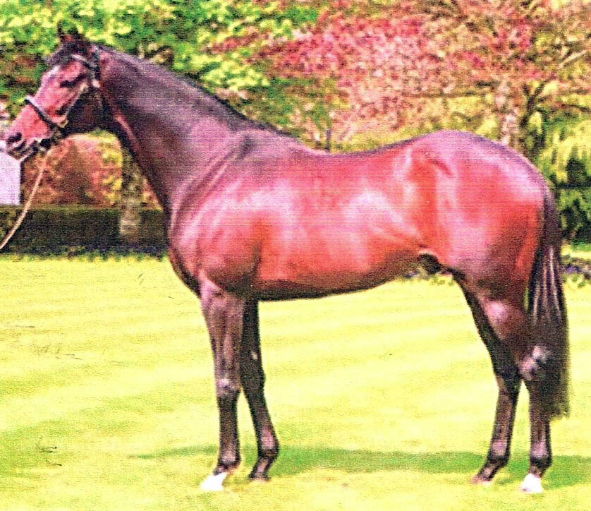 high_chaparral