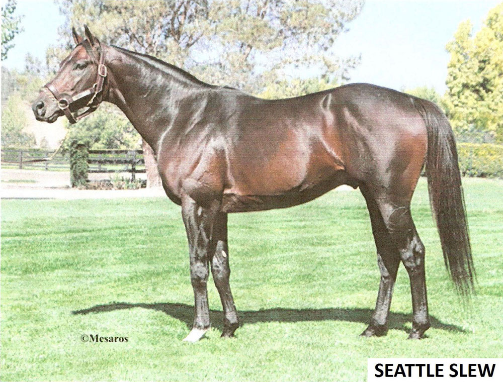 seattle_slew