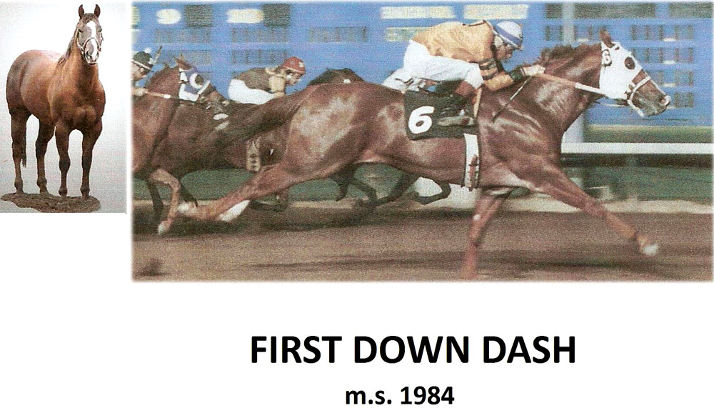 FIRST-DOWN-DASH