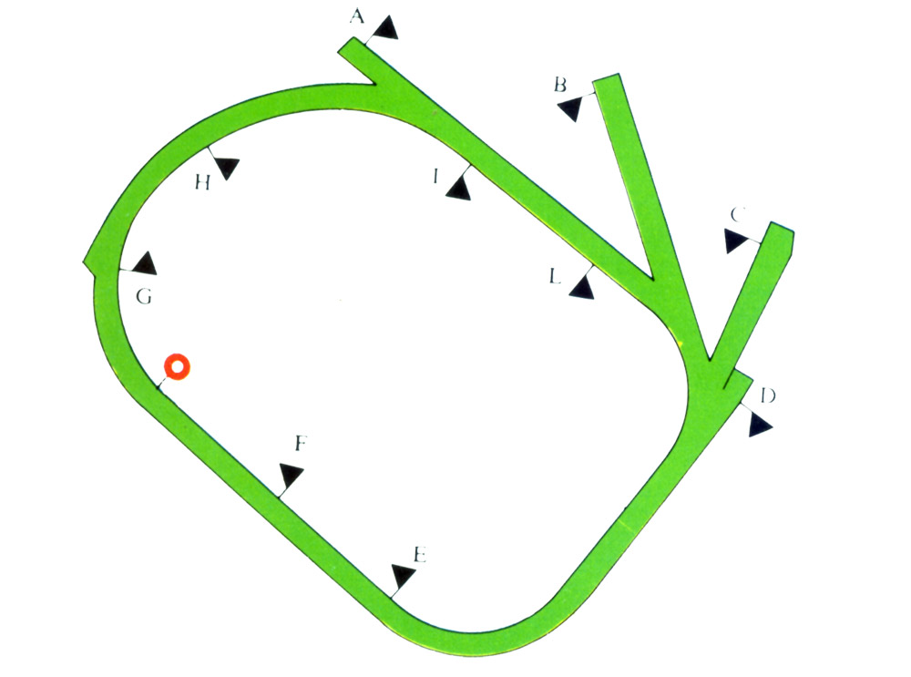 randwick