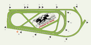 gelsen
