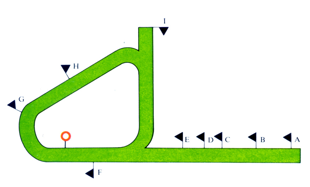 ascot