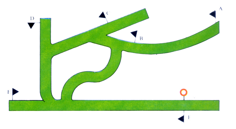 epsom