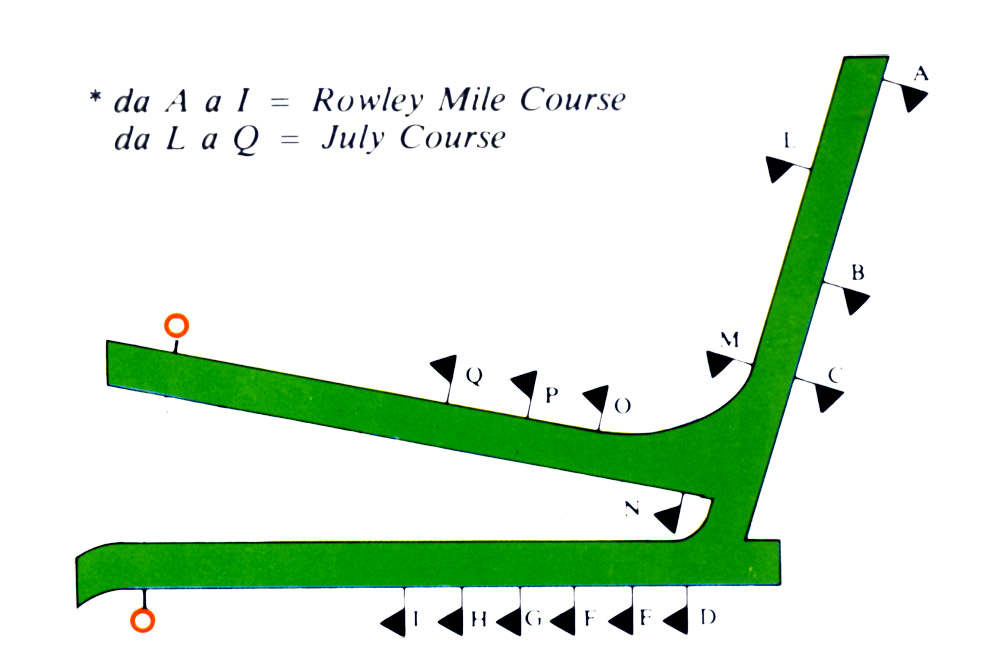 new_market
