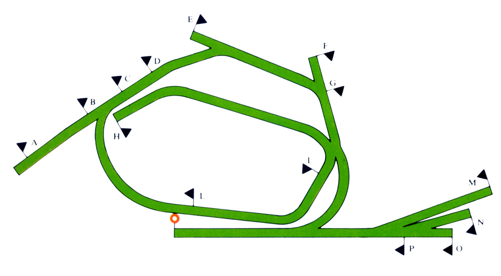 the_curragh