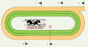 saratoga