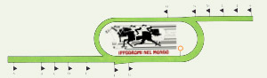 zarzuela