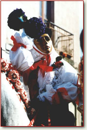 componi1