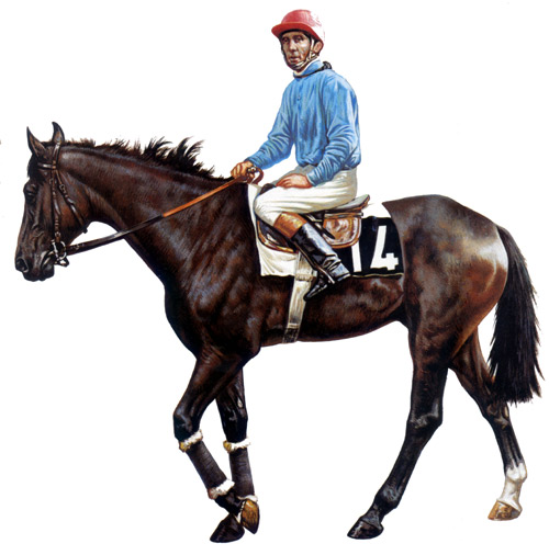 cogne500