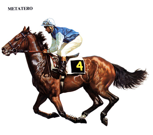 metatero