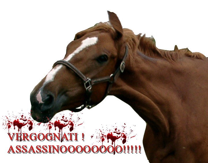 vergognati_assassino