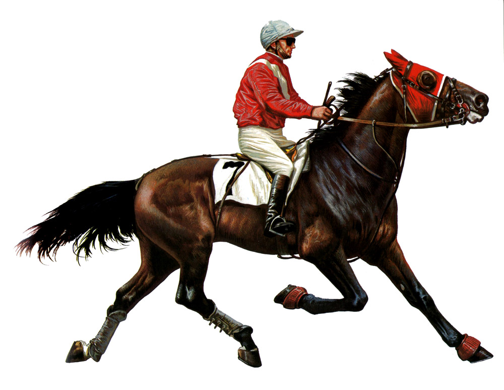 bellino